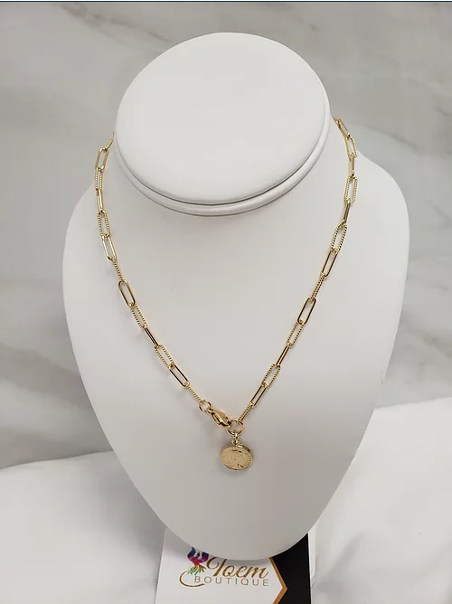 Elongated Chain W/ Vintage Coin